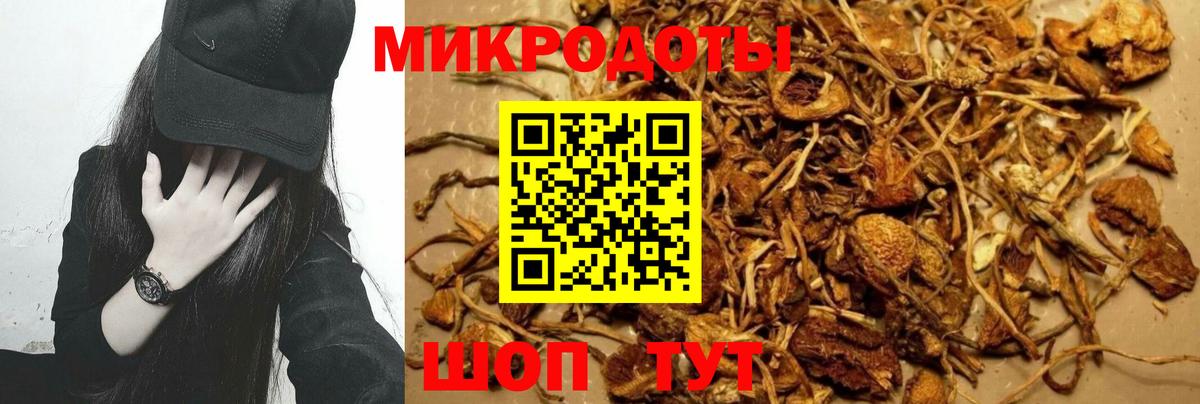 Кандалакша  Галлюциногенные грибы Psilocybe  Псилоцибиновые грибы Psilocybine cubensis  Вход с VPN 